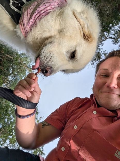 George giving a treat to a big white Great Pyrenees