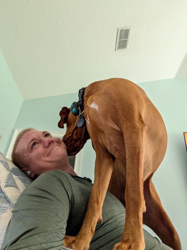 A vizsla standing over George on the couch